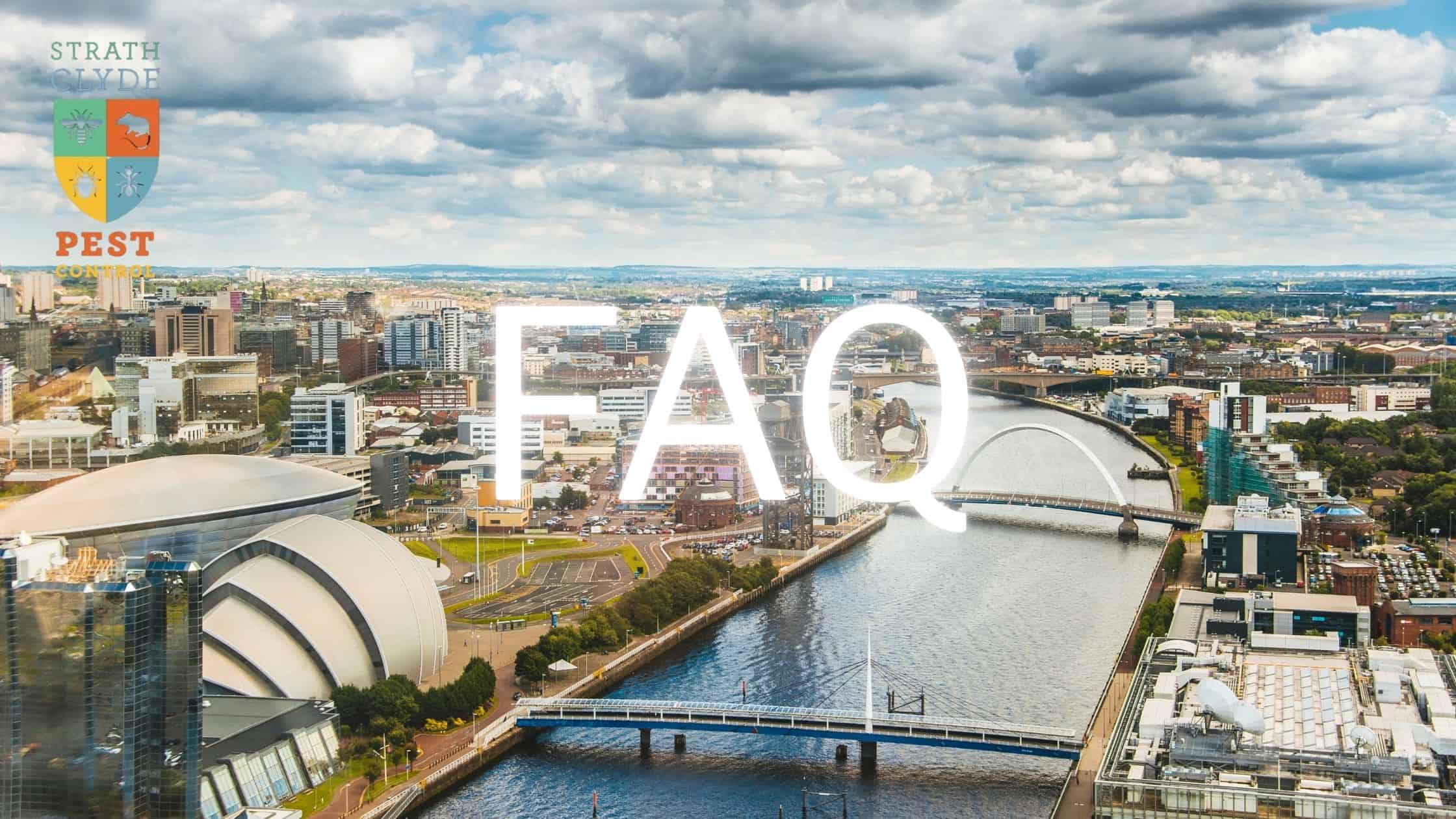 Pest Control FAQ Scotland: What Locals in Glasgow and East Kilbride Ask Us Most