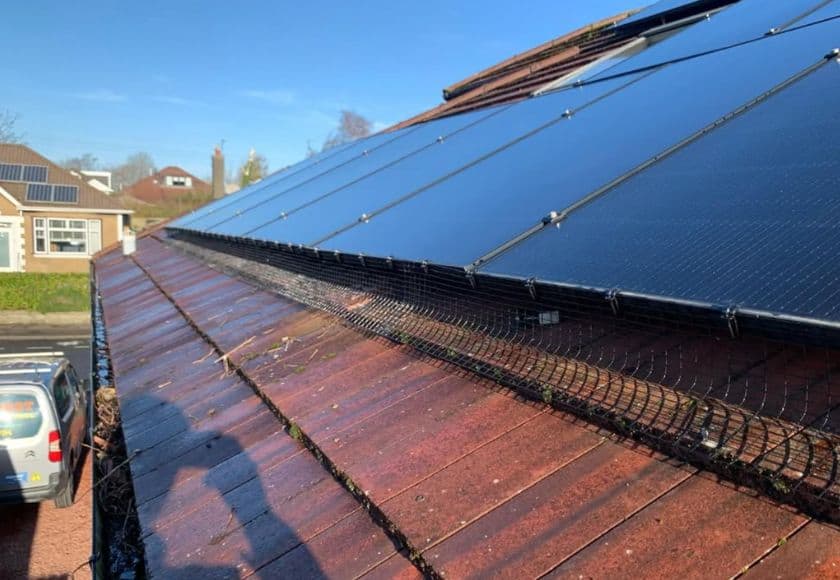 Bird Control and Proofing on a roof by solar pannels in Busby — Strathclyde Pest Control