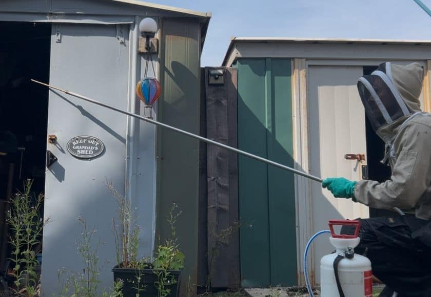 Pest control technician treating a wasp issue in a shed in Busby